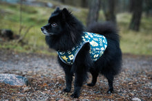 Load image into Gallery viewer, Brace protector jacket