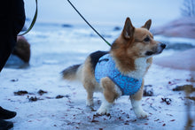 Load image into Gallery viewer, Brace protector jacket