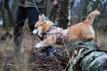 Load image into Gallery viewer, Brace protector jacket