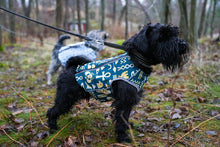 Load image into Gallery viewer, Brace protector jacket