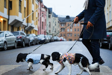 Load image into Gallery viewer, Brace protector jacket