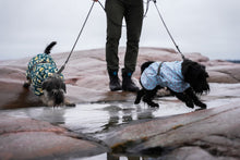 Lataa kuva Galleria-katseluun, Frostbite talvitakki