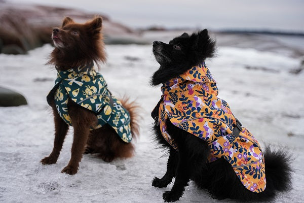 Beana design clothes and apparel for dogs